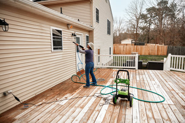 Best Affordable Pressure Washing  in El Cerro, NM