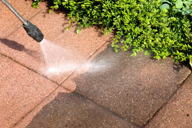 Best Pressure Washing Near Me  in El Cerro, NM